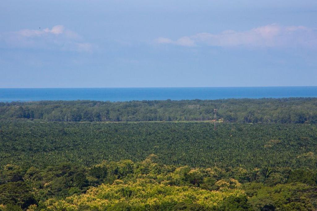 Villa Vista Hermosa - With Breathtaking Ocean View & Wifi Quepos Zewnętrze zdjęcie